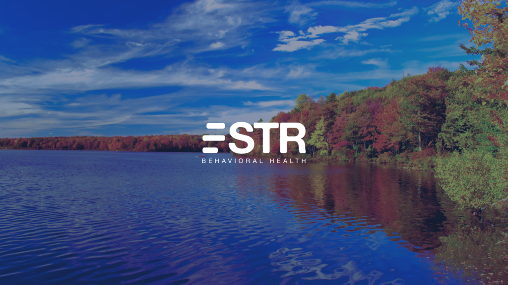 silverpinestreatmentcenter.com
